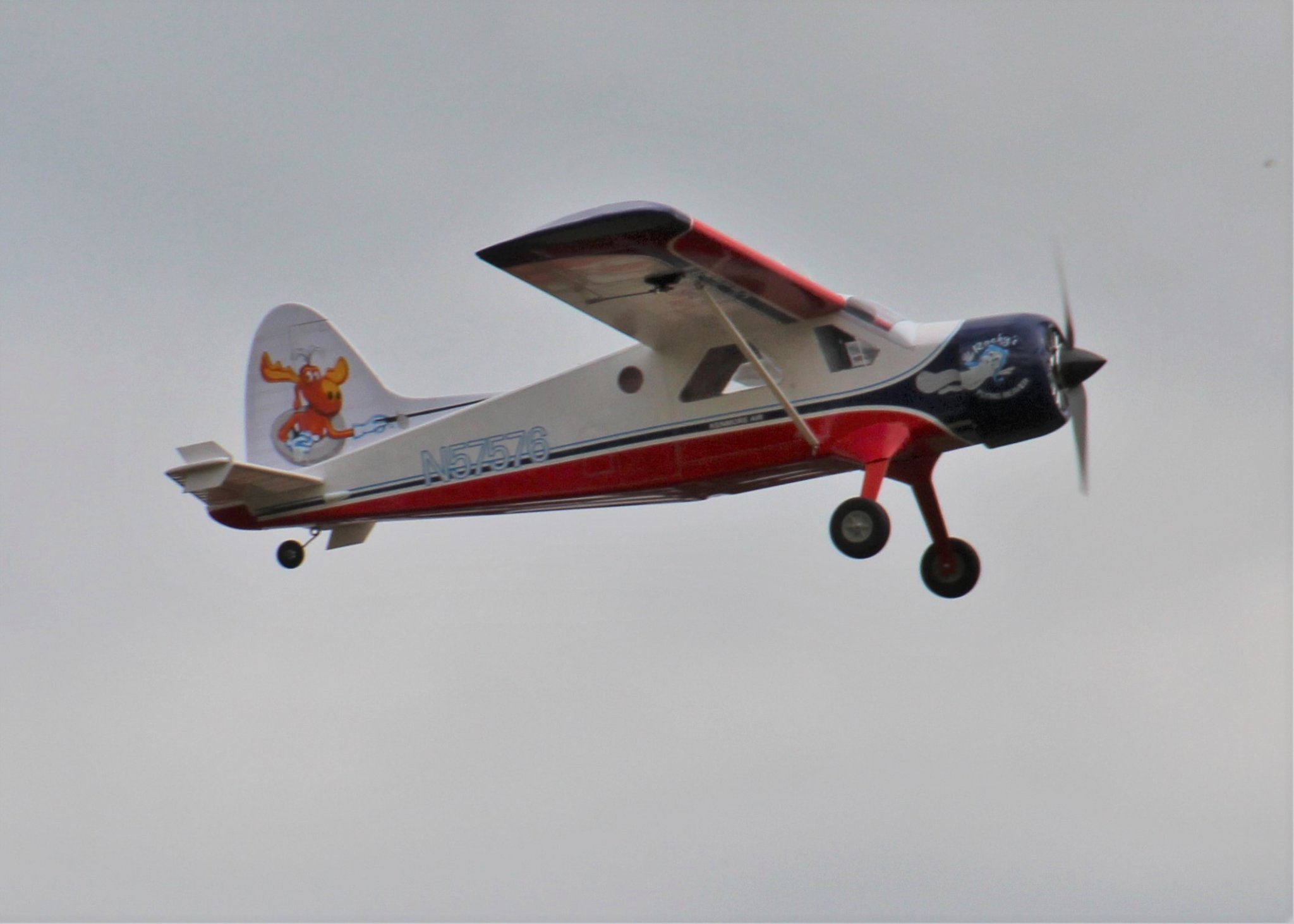 DH Beaver electric powered RC plane