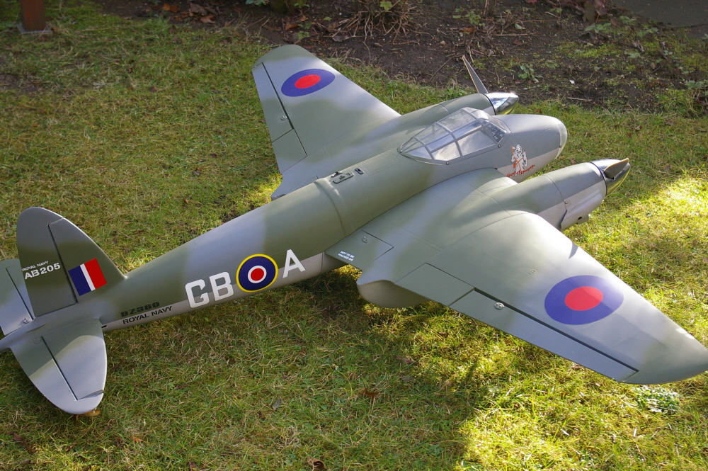 RC Mosquito