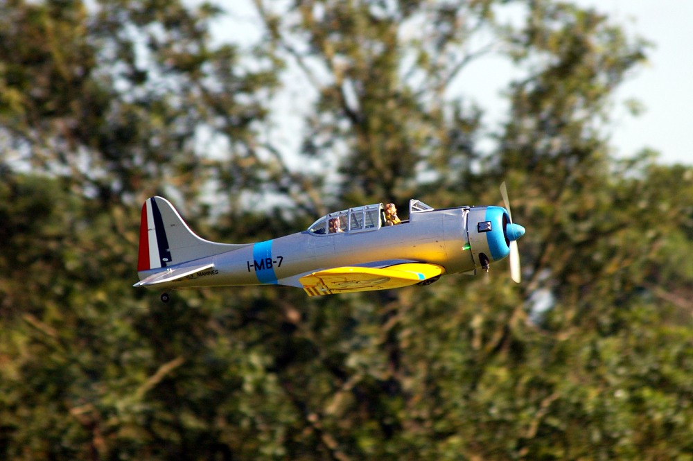 Radio controlled Douglas Dauntless in flight