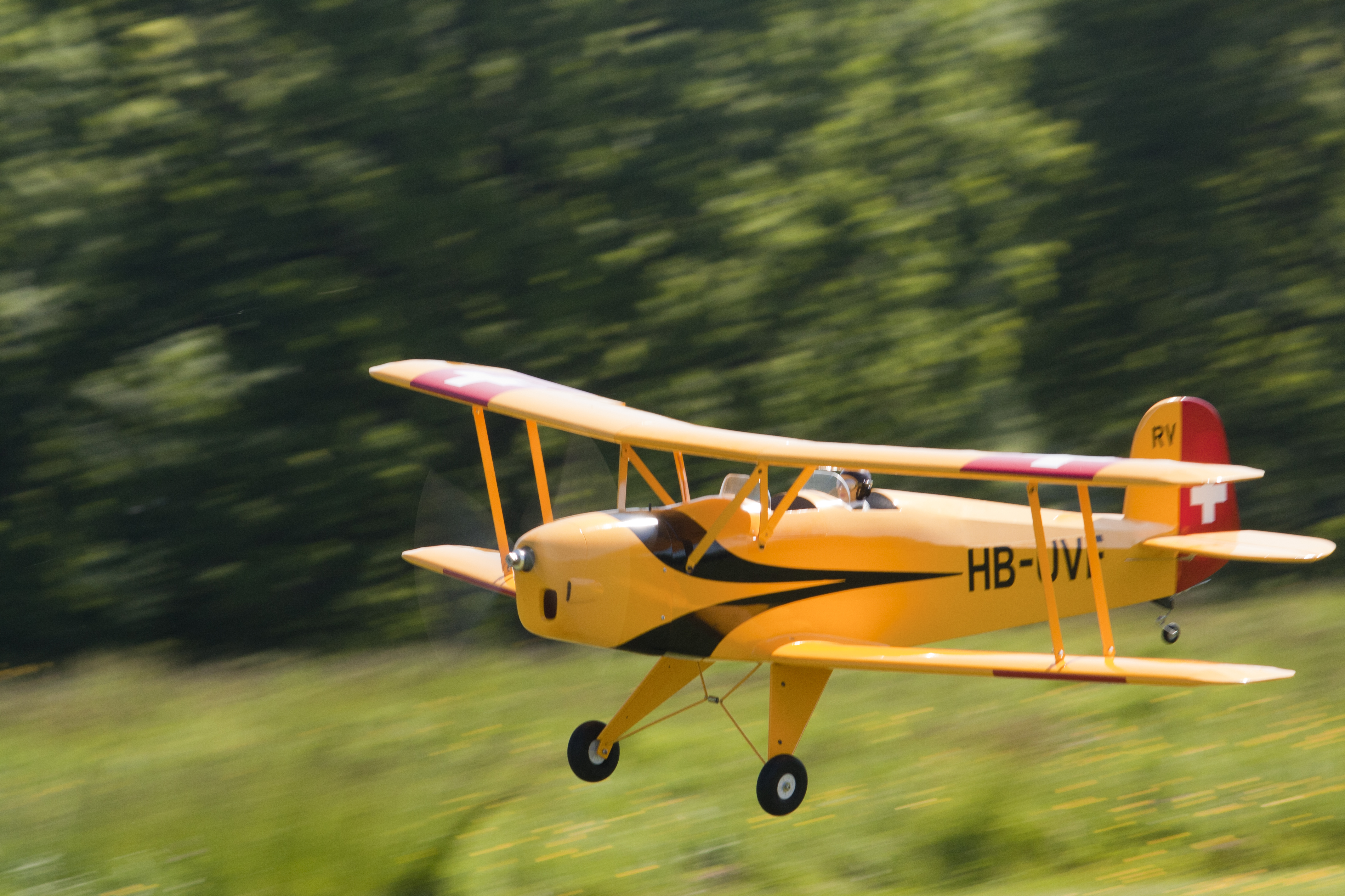 Trainers and scale ARTF planes